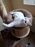 /album/26-02-2026/whatsapp-image-2026-02-26-at-17-53-46-1-jpeg/